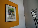 IMG_1318 copy